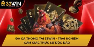 đá gà thomo